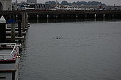 # 630:596