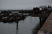 # 632:598